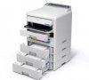 Epson Drukarka EP-C800RDW kolor A4/34ppm/3.8pl/(W)LAN/PCL6